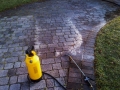 These pavers, view #1, in the process of a vigorous acid wash to restore their luster