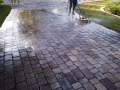 These pavers, view #2, are now being pressure washed with our rotary surface cleaner