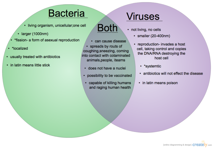 bacteria-viruses-what-is-the-difference-upc