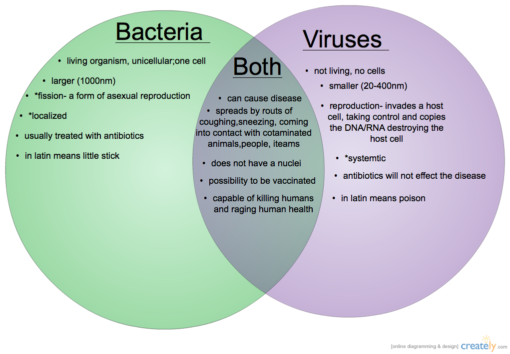 Bacteria & Viruses: What is the Difference? - UPC